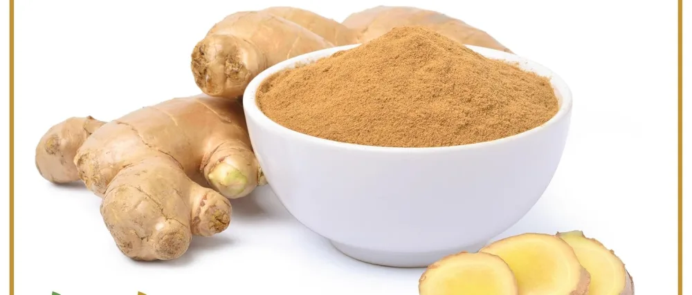 Ausha Organic Ginger Powder - 100g l Ground Ginger l Cooking Anti Inflammatory Immunity Digestion - ginger powder