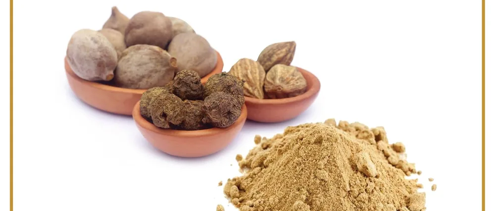 Ausha Organic Haritaki Powder 100g | Terminalia Chebula l Constipation Relief Detox| Certified Organic - haritaki powder