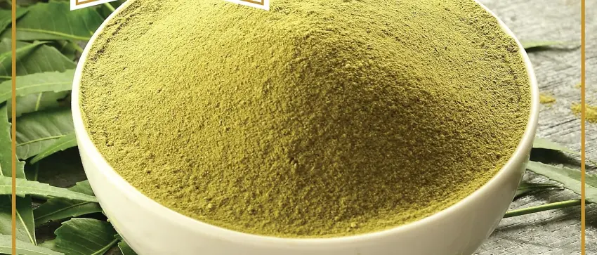 Ausha Organic Neem Leaves Powder 100g | Immunity Digestion Detox| Hair Dandruff Skin Care - neem powder
