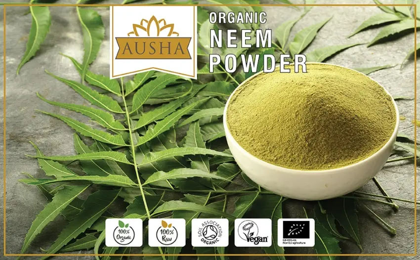 Ausha Organic Neem Leaves Powder 100g | Immunity Digestion Detox| Hair Dandruff Skin Care - Neem Powder