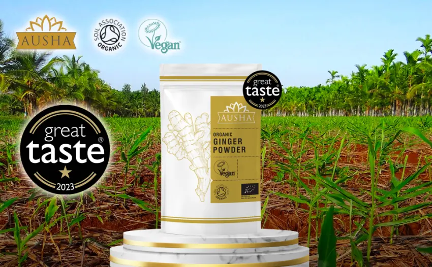Ausha Organic Ginger Root Powder 500g l Winner Great Taste Award 2023 500 g (Pack of 1) - ground ginger powder