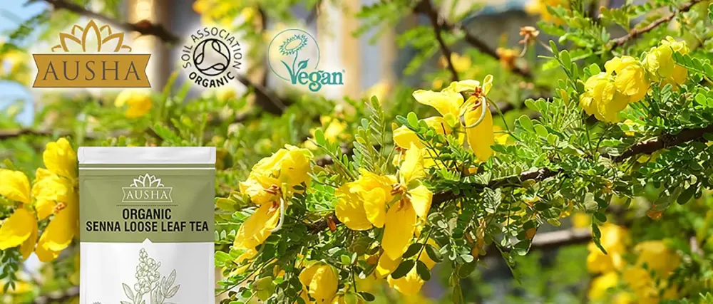 Senna Loose Leaf Tea -100g - Constipation Relief Natural Laxative | Detox Cleanse - senna leaf tea