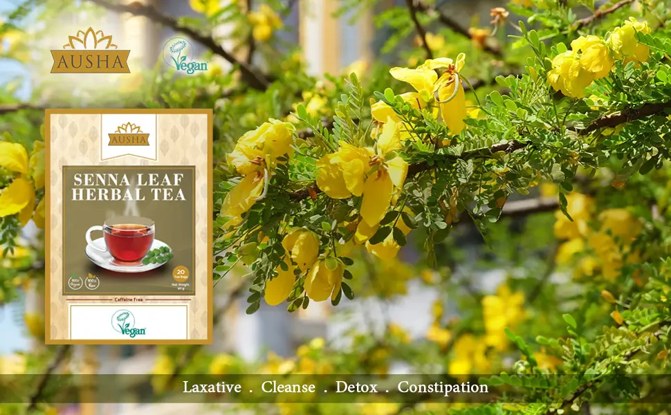 Ausha Senna Leaves Tea - 20 Tea Bags | Constipation Relief Natural Laxative | Detox Cleanse 20 Count (Pack of 1) - senna tea
