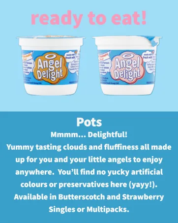 Angel Delight Smooth & Creamy Chocolate Flavour Instant Dessert Mix 600 g (Pack of 1) - Pots
