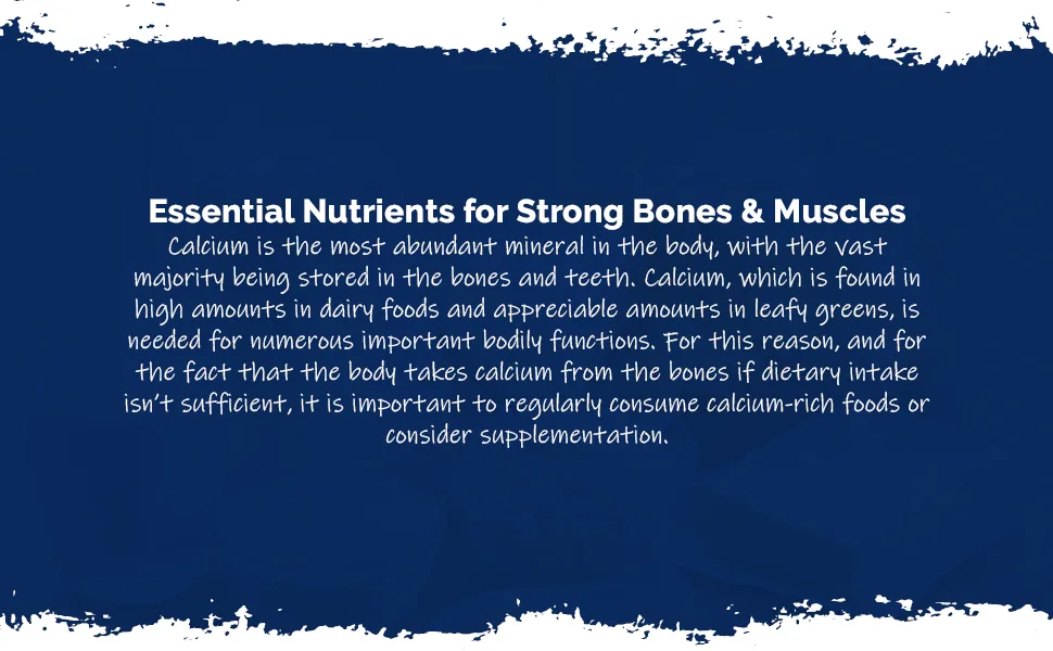 Chewable Calcium & Magnesium Tablets (120 Tablets) | Delicious Tropical Flavour | Vegan & Vegetarian Friendly | Crucial Nutrients for Bones & Muscles | Optimal 2:1 Ratio - E1133