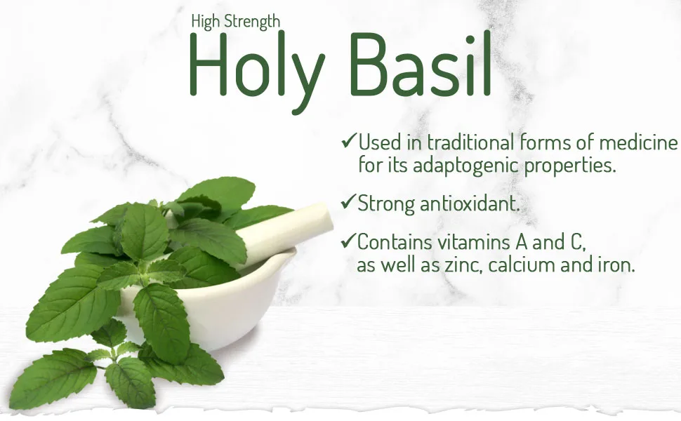 Holy Basil 20:1 (Ocimum Sanctum) 2.5% Ursolic Acid - Zero Additives - Pullulan (60 Capsule Pouch) 60 count (Pack of 1) - Holy Basil