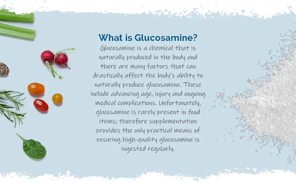 Glucosamine 1000mg | 120 Capsules | Perfect for Customers Looking to Support Active Living | Manufactured in The UK - AEBC-E573-3