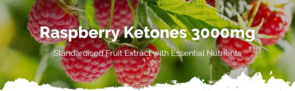 Raspberry Ketones 3000mg 120 Capsules | Vegan & Vegetarian Friendly | Manufactured in The UK - E1271