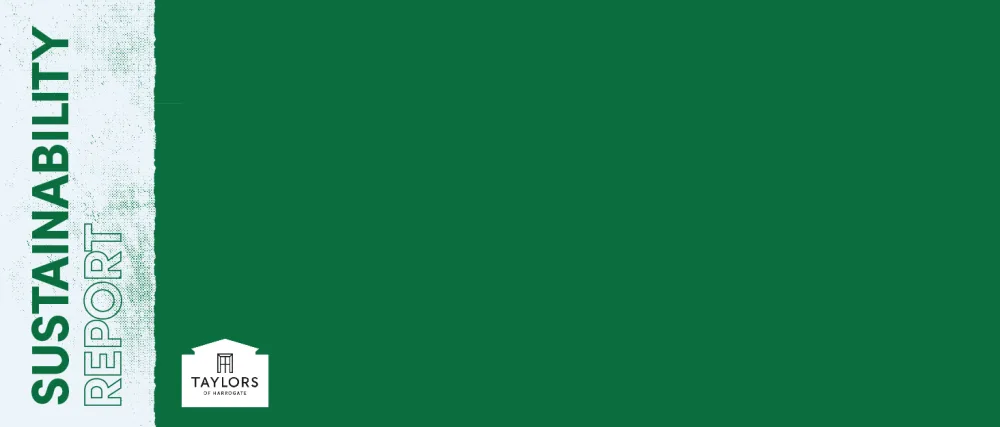 Taylors of Harrogate Assorted Green Teas and Fruit Infusions Selection Gift Box 96 g (48 Tea Bags in Total) Assorted Green Teas & Fruit Infusion - Sustainability report desktop