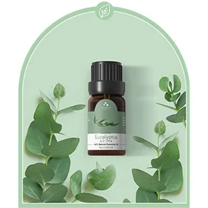 ASAKUKI Essential Oils Set Starter Kit Essential Oils for Diffusers for Home Top6 Aromatherapy Oils Gift Set- 6 Bottles*10mL(Lavender Eucalyptus Lemongrass Tea Tree Sweet Orange Peppermint) - eucalyptus oil