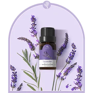 ASAKUKI Essential Oils Set Starter Kit Essential Oils for Diffusers for Home Top6 Aromatherapy Oils Gift Set- 6 Bottles*10mL(Lavender Eucalyptus Lemongrass Tea Tree Sweet Orange Peppermint) - lavender essential oils