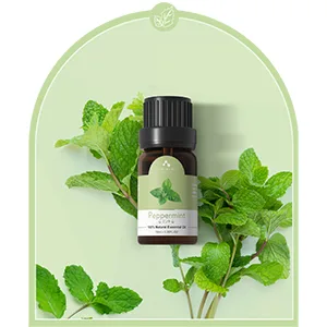 ASAKUKI Essential Oils Set Starter Kit Essential Oils for Diffusers for Home Top6 Aromatherapy Oils Gift Set- 6 Bottles*10mL(Lavender Eucalyptus Lemongrass Tea Tree Sweet Orange Peppermint) - peppermint oil