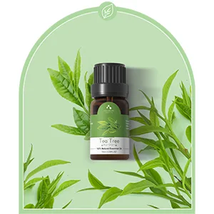 ASAKUKI Essential Oils Set Starter Kit Essential Oils for Diffusers for Home Top6 Aromatherapy Oils Gift Set- 6 Bottles*10mL(Lavender Eucalyptus Lemongrass Tea Tree Sweet Orange Peppermint) - tea tree oil