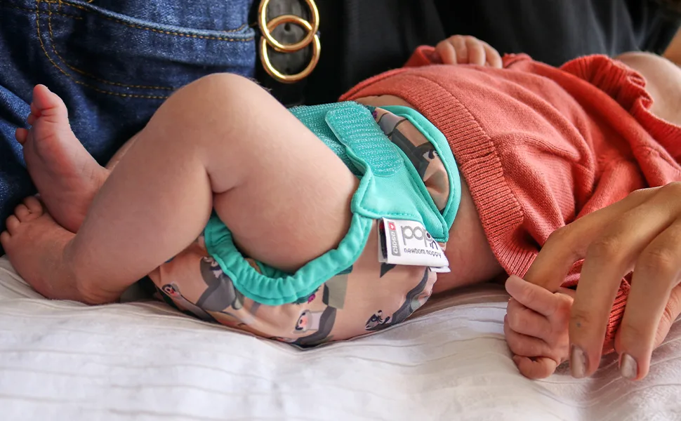 Close Pop-in Premium Bamboo Newborn Cloth Nappy - Soft Absorbent Reusable with Moose Print and Secure Aplix Fastener Moose Single - newborn nappy