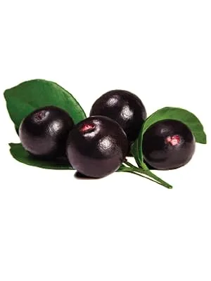 Acai Berry 3000mg Weight Loss Supplements | Slimming Aid | Diet | Fat Burner | 60 Capsules - Acai Berry Image