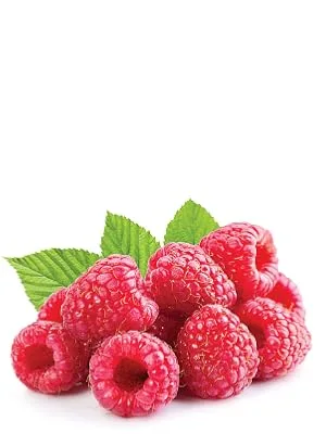 Pure 100% Raspberry Ketones 1000mg Per Serving Powerful Weight Loss Supplement that Provides Energy Boost Metabolism | 60 Capsules - Collagen 300x400