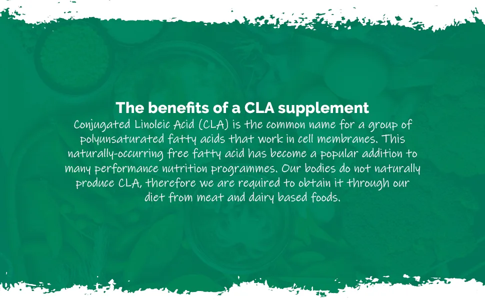 CLA - Conjugated Linoleic Acid Capsules 1200mg | 120 Capsules Up to 4 Month Supply | Supplement Made from Cold Pressed Safflower Oil - E5553