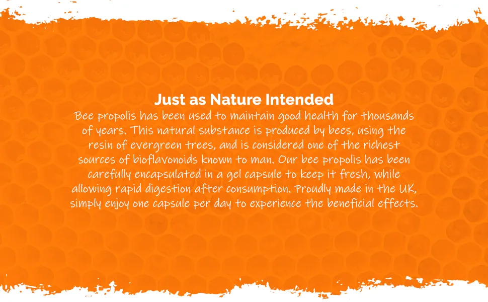 Bee Propolis 1000mg Capsules | 120 Capsules | Made in The UK - E1203
