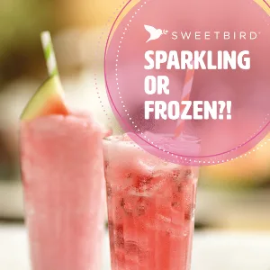 Sweetbird Cherry Syrup | 1 Litre | FS249 - Watermelon Image