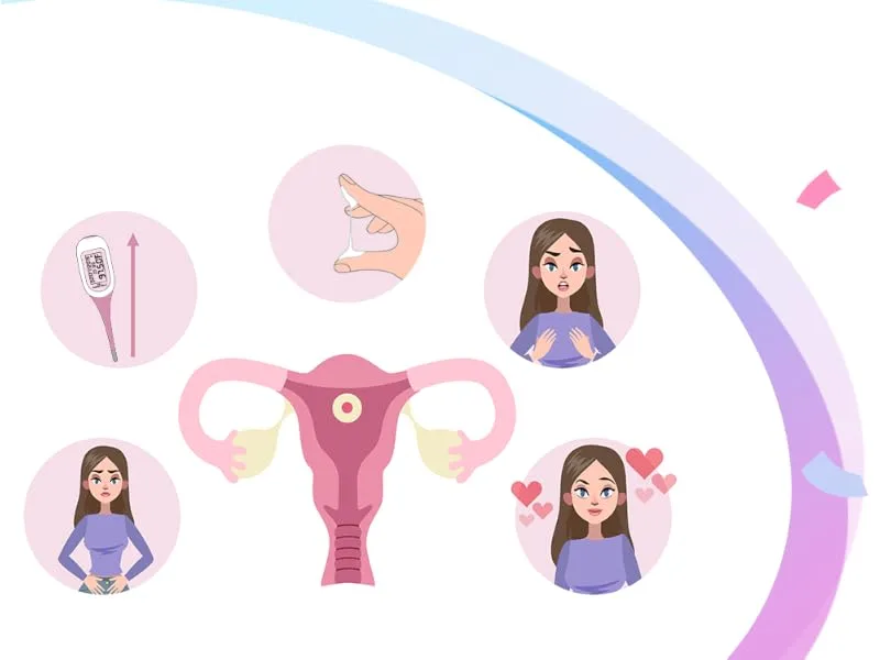 Ovulation Fertility Test Predictor Kit: Easy Home 20 LH Strips Accurate Fertility Test for Women Ovulation - Powered by Premom Ovulation Tracker App - lh test