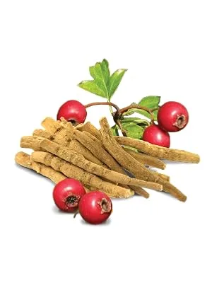 Ashwagandha 1000mg Supplements - Stress Fatigue Anxiety Relief Organic - 90 Tablets - Ashwagandha Image