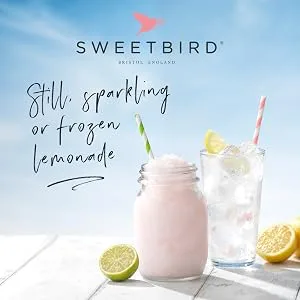Sweetbird Raspberry & Pomegranate Lemonade Syrup (1 litre) - Vegan Friendly Raspberry Raspberry & Pomegranate 1 l (Pack of 1) - Still, Sparkling or frozen lemonade