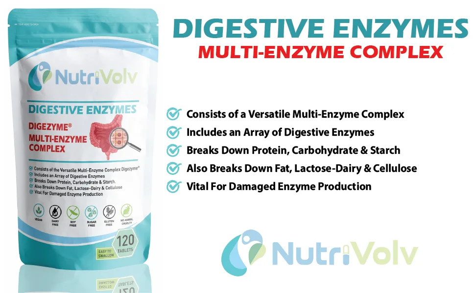 Digestive Enzymes - 120 Tablets - DigeZyme 50mg Digestion Amino Acid Gut Health - DigeZyme
