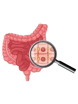 Digestive Enzymes - 120 Tablets - DigeZyme 50mg Digestion Amino Acid Gut Health - Digezyme Image