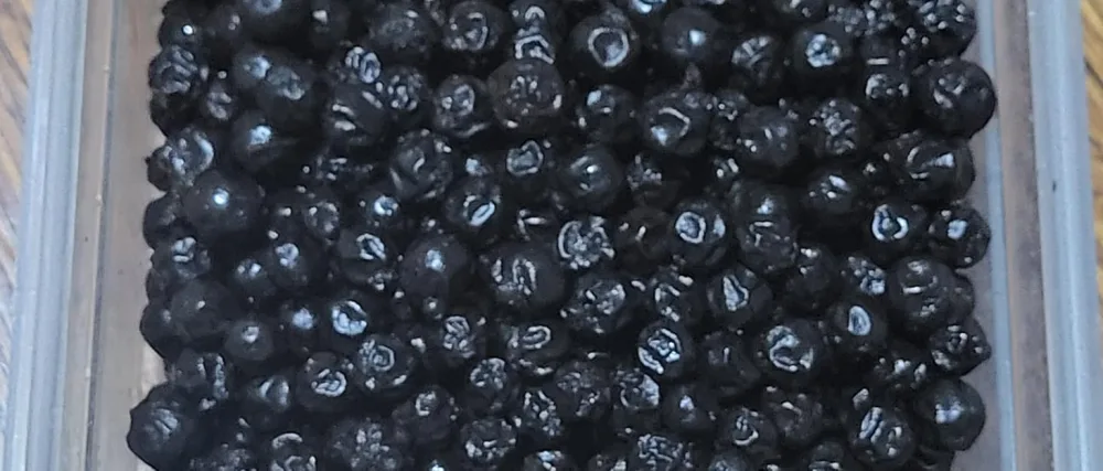 Ausha Fermented Black Peppercorns Whole 200g - Organic - Cooking - 3 Star Winner Great Taste Award 2022 - black peppercorns