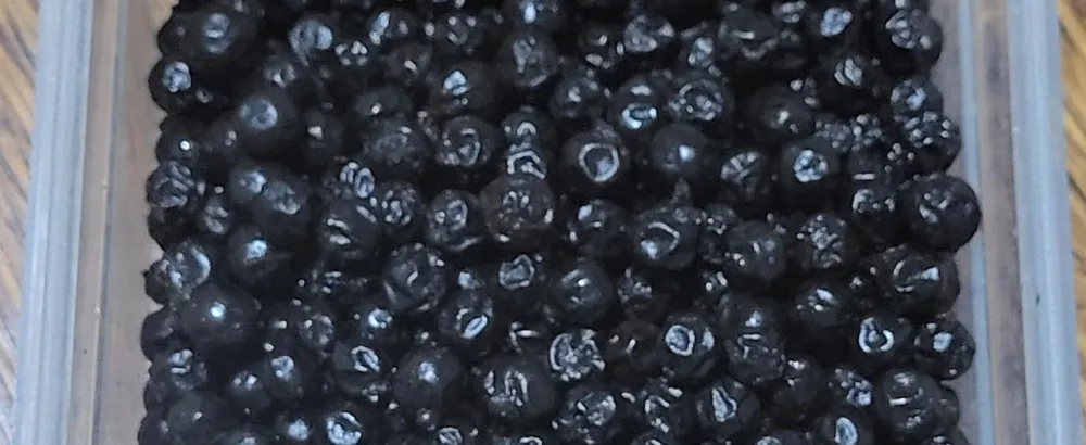 Ausha Fermented Black Peppercorns Whole 200g - Organic - Cooking - 3 Star Winner Great Taste Award 2022 - black peppercorns