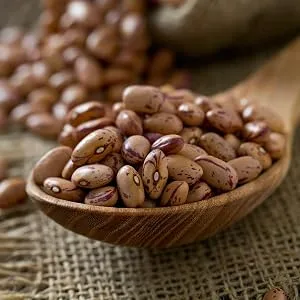 Organic Pinto Beans 500g - Organic Pinto Beans