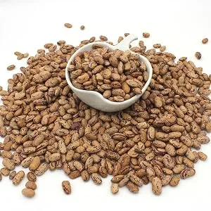Organic Pinto Beans 500g - Organic Pinto Beans