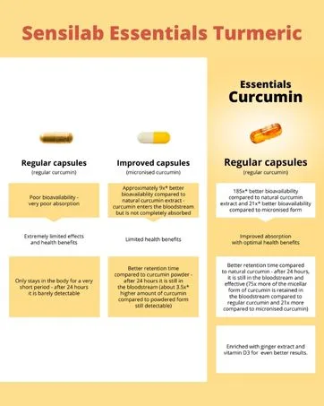 Sensilab Essentials Iodine Tablets 200 mcg Potassium Iodide Capsules for Thyroid & Nervous System Support 120 Iodine Capsules - 4-Month Supply - Turmeric Curcumin