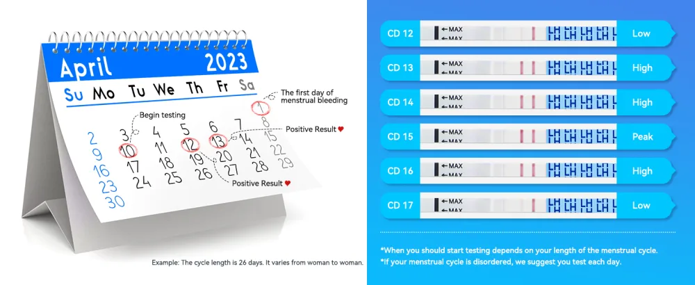 Wondfo Ovulation Tests Strips 50 LH Ovulation Test Strips Fertility Predictor Testing OPK for Trying to Conceive - easy to read