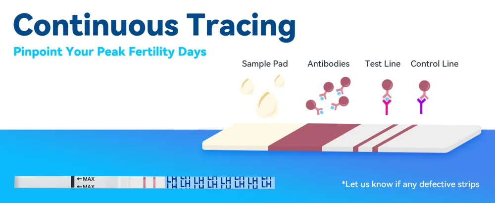 Wondfo Ovulation Tests Strips 50 LH Ovulation Test Strips Fertility Predictor Testing OPK for Trying to Conceive - pinpoint