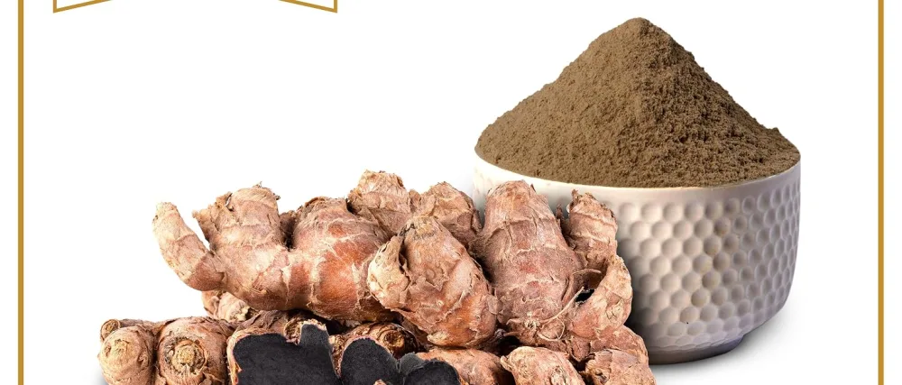 Black Ginger Powder 50g | Endurance Stamina Energy Anti Inflammatory - black ginger