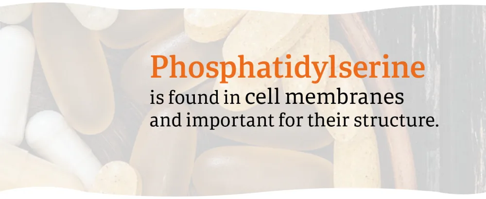 Now Foods Phosphatidylserine 300mg High Dose 50 Softgels Lab-Tested Gluten Free Non-GMO - NOW 1830 Panel 3