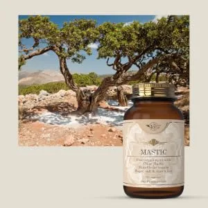 Sky Premium Life Chios Mastic Food Supplement (60 Capsules) 60 Count (Pack of 1) - sky premium life