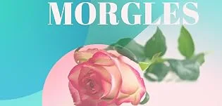 Topsy Tail Hair Tool MORGLES French Braid Loop Tool Pink with Rat tail comb - morgles