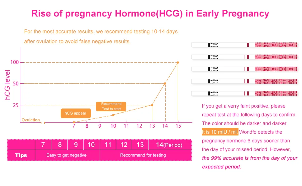 Wondfo 50 Ovulation Test Strips and 20 Pregnancy Test Strips Sensitive Fertility Predictor Testing Kit Track Ovulation Test OPK - pregnancy test