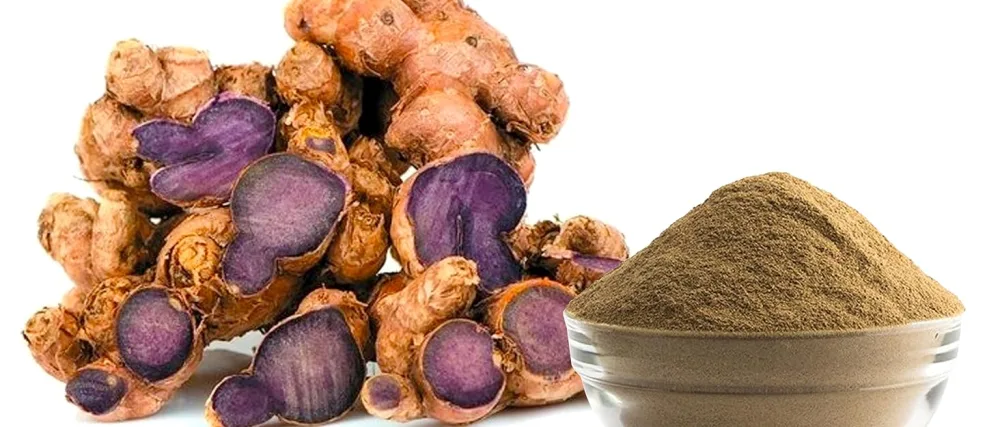 Ausha Black Turmeric Powder 100g | Curcumin 5-6% l High Strength - black turmeric