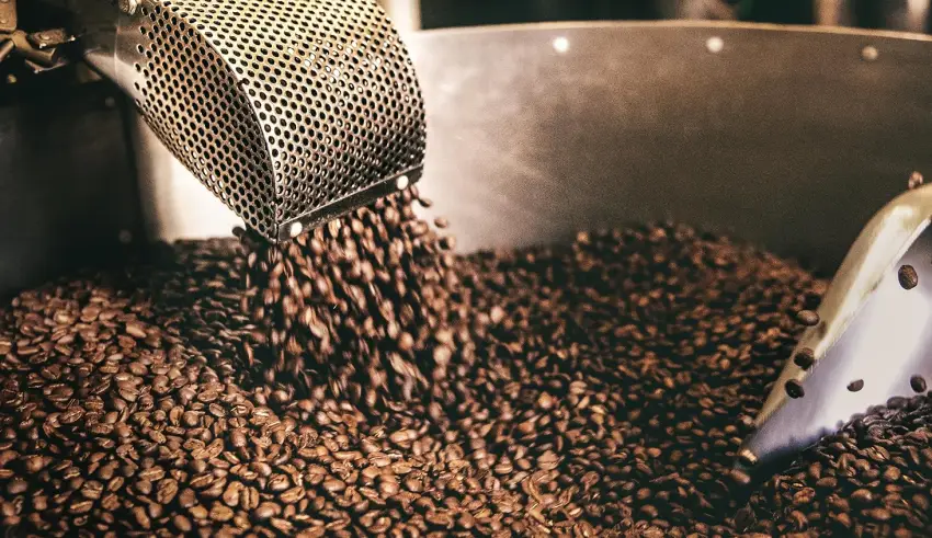 Monsoon Malabar Coffee Beans. Dark Roast Whole Coffee Beans Single Origin. 500g Monsoon Malabar 500g - hand roasted coffee