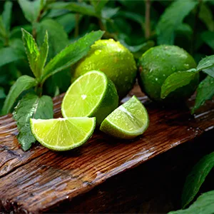Baylis & Harding Citrus Lime & Mint Men's Refreshing Essentials Trio Gift Set (Pack of 1) - Vegan Friendly - Lifestyle IMage