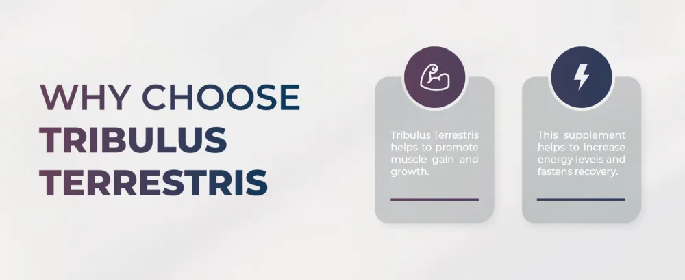 Tribulus Terrestris Extract 90 High Strength Capsules - Strong Booster Supplements - Made in The UK - Halal - Tribulus