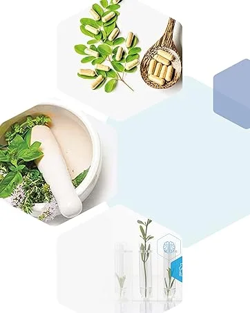 Life Extension Optimized Quercetin 250mg High Dose 60 Vegan Capsules Laboratory Tested Gluten-Free Vegetarian SOYA-Free Non-GMO - LEF Brand Story
