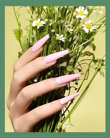 720PCS Almond Press on Nails Medium MORGLES 24 Colors False Nails with Glue Adhesive Tabs Stickers Tweezer 10 Sizes Medium Glossy Almond - press on nails
