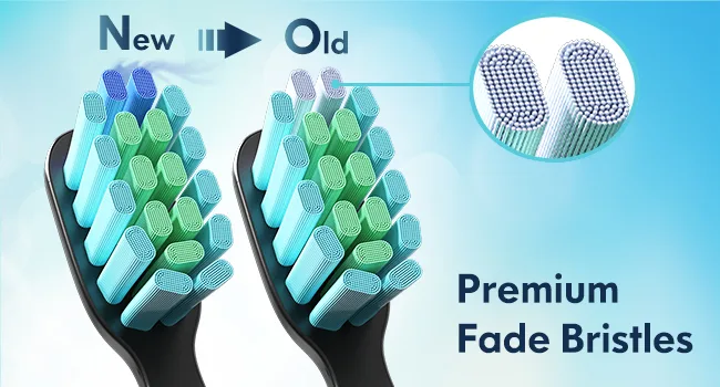 Dada-Tech Sonic Electric Toothbrush for Adults with 90% Rounded Bristles 5 Cleaning Modes 2-Minute Timer and 9 Replacement Reminder Brush Heads (Green) - electric toothbrush head
