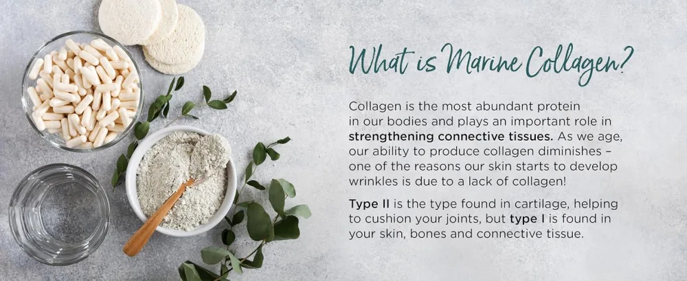 Healthspan 1 000mg Marine Collagen Complex 60 Tablets | 800mg Type I + 200mg Type II Collagen | Support Your Joints Bones & Connective Tissue | Added Benefits for Skin & Beauty - What is Marine Collagen?