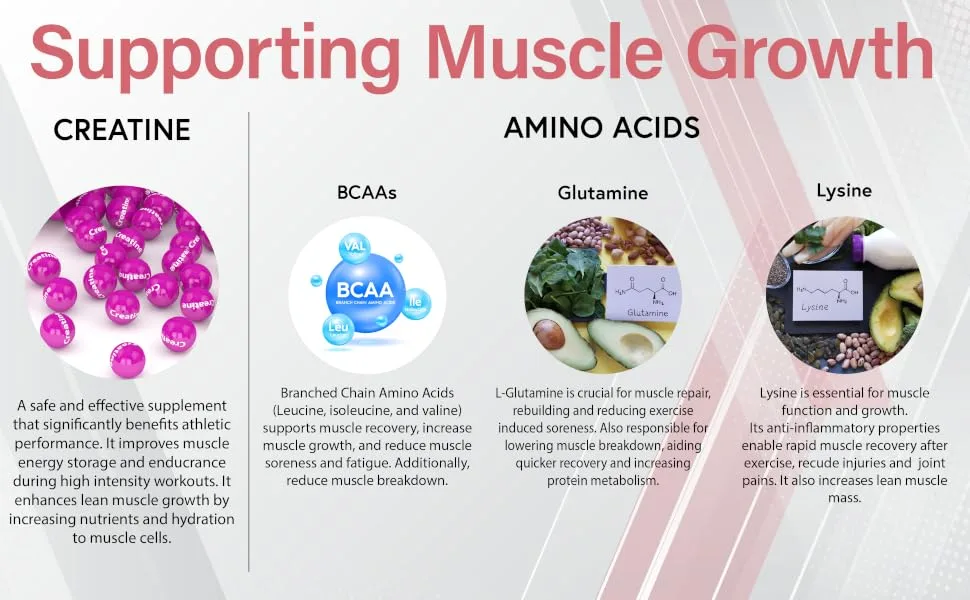 Muscle Boost - Recovery Creatine BCAA Glutamine Lysine Chewable Gummies for Men & Women - 60 Gummies - 1900mg Active per Serving - Natural Strawberry Flavour Suitable for Vegans - Supporting Muscle Growth