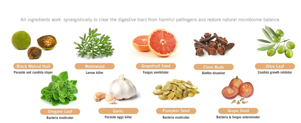 Intestinal Shield - Candida & Antimicrobial Cleanse Natural Colon Detox Support with Wormwood Black Walnut Cloves Grapefruit Seed Extract & More 100% Herbal 90 Capsules - candida cleanse candida complex candida support candida tablets anti candida